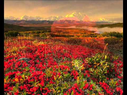 Cellophane City Steve Forbert.flv