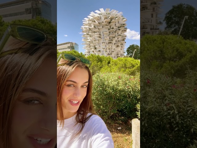 L'amour du Sud | Ymmersion B1 Audiovisuel 2023-2024