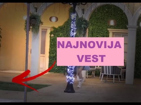 JEZIIIVO - Zadrugarima NIJE DOBRO od kada je ON UHVAĆEN u Zadruzi #zadruga #zadrugainfo