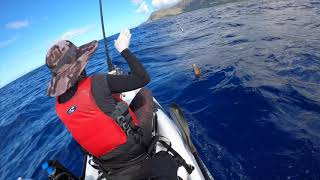 [Kayak Fishing in Hawaii]ハワイアンモンクシールもビックリ！＠ハワイでカヤックフィッシング！エンジン付いてます！？