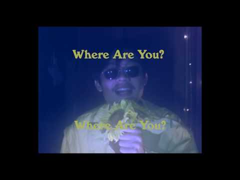 BLEU HOUSE - Where Are You? Where Are You? (Official Lyrics Video)