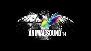 Animal Sound 2014 | Video-Resumen | HD