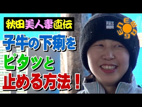 , title : '秋田美人妻直伝！子牛の下痢をピタッと止める方法'