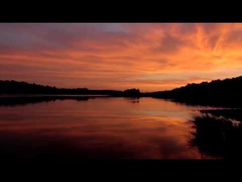 Hasenmoor 08.09.2013