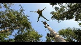 Tree Top Adventure and Powerfan Plummet Snowdonia North Wales