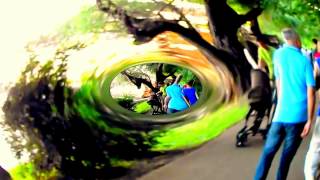 JJ CALE - IF I HAD A ROCKET