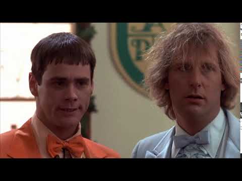 Dumb and Dumber - Hang by the bar. Put out the vibe.