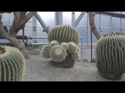 やまぐち映像図鑑 NO.062 世界を旅する植物館［宇部市］ | Botanical Museum Traveling the World [ Ube-city ]