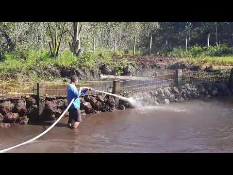LIMPEZA DA ÁREA DE CAPTAÇÃO DE ÁGUA PARA ABASTECIMENTO PÚBLICO CÓRREGO LAJEADO.