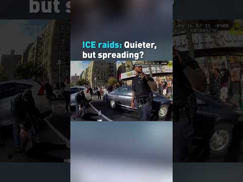 ICE raids are getting quieter but their reach is expanding, immigration expert says