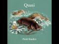 Quasi - Smile