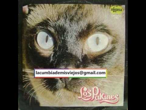 Los Pakines - Necesito De Tu Amor