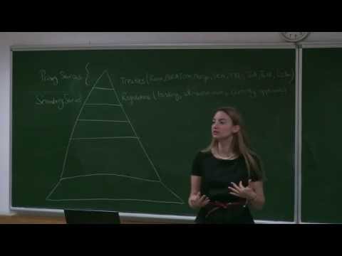 IR477 - Law and Institutions of the European Union - Lecture 6