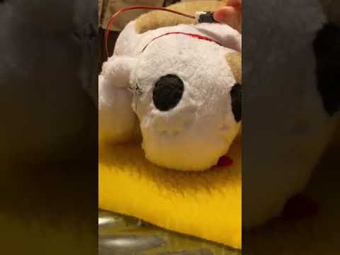 美術学科 ただいま！おチビ！