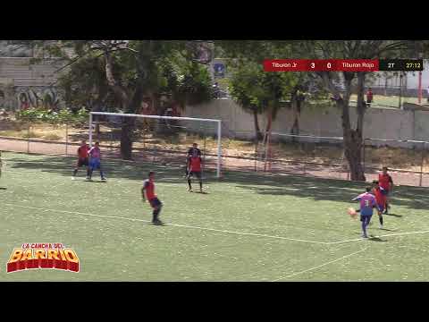 Tiburon Jr Vs Tiburon Rojo