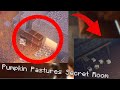 Secret Dungeon Room In Pumpkin Pastures Minecraft Dungeons