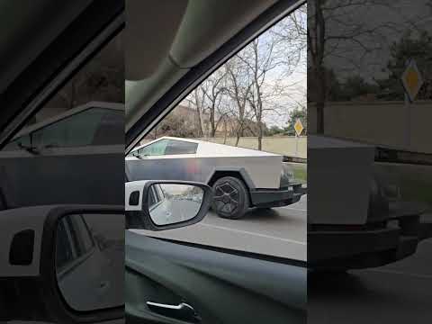 What Is This?  Bu Nədir Belə?