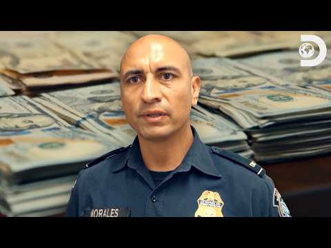 Smuggling Crazy Amounts of Cash 💸 Contraband: Seized at the Border & at the Airport | Discovery