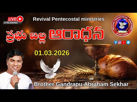 Prayer & Worship Night