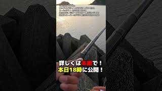 シにアジ放置でアオリイカがかかった！ヤエン釣り