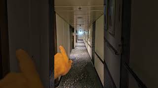 NCL Spirit 10th Floor rear ship room area explained near H2O