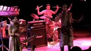 Sleepytime Gorilla Museum (7)