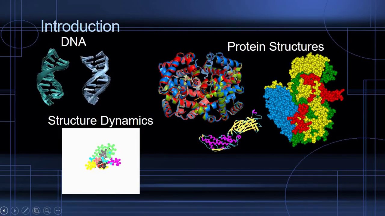 Structural Bioinformatics Basics - Udemy Course
