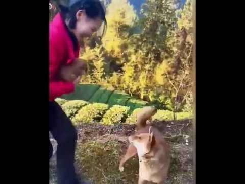 โดนหลอกแล้วไง