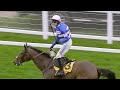Pic D Orhy DEMOLISHES His Rivals In The Grade 1 Ascot Chase