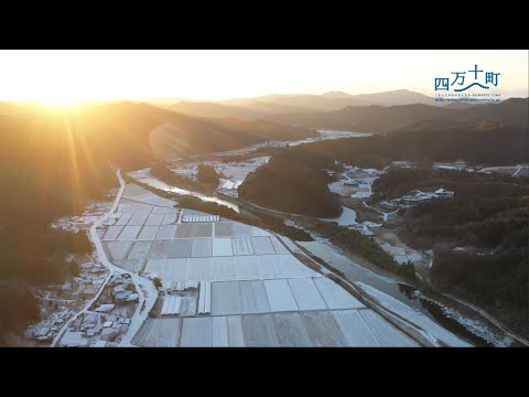 しまんとがわのまんなか　四万十町