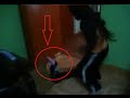 DUENDE EN CASA REAL (VIDEO VIRAL) 