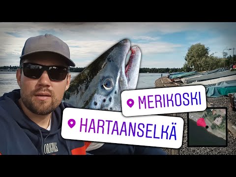 LOHENKALASTUS OULUJOELLA  - LUVAT, VINKIT YMS. - MERIKOSKI JA HARTAANSELKÄ - OULUN KALAPAIKAT