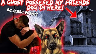 A GHOST POSSESSED MY FRIENDS DOG IN TOMS HAUNTED HOUSE! (REVENGE PRANK) | MOE SARGI