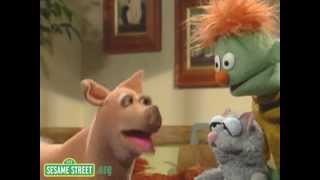 Sesame Street: Pet at the Vet