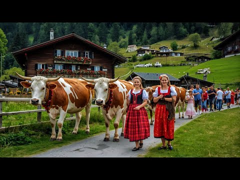 Most Beautiful Village In Switzerland _ Appenzell🇨🇭Swiss Cow’s Return Home From Alpine 