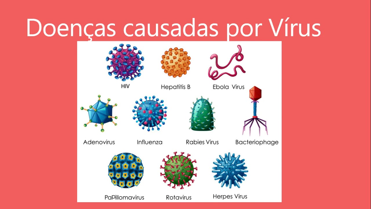 7º ano - Doenças transmissíveis.