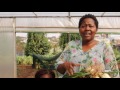 Community Centered Gardening In The Heart Of Jozi