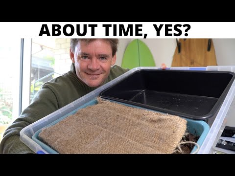 New Tray Worm Farm Set Up Indoors VIDEO 1