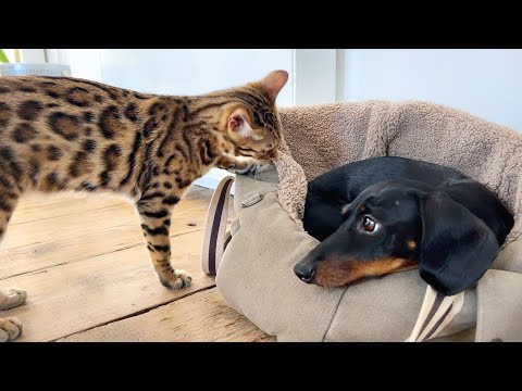 Family Diary| Tropical days.