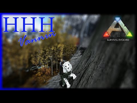 Epic Journey to find Snow Flavour Cats - Fjodour of The Rings