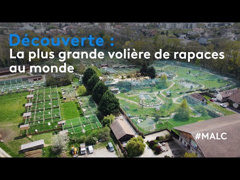 Découverte : la plus grande volière de rapace au monde