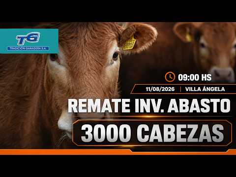 REMATE ABASTO E INVERNADA...TRADICION GANADERA SUCURSAL VILLA ANGELA