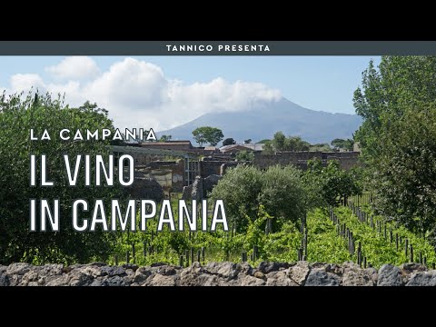 I migliori vini della Campania: il territorio e le caratteristiche | Tannico