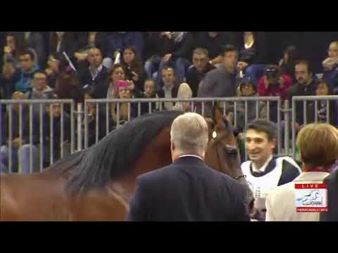 European Championships Verona 2013 - CLASS 6