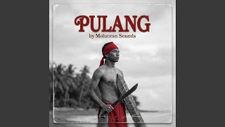 Download lagu Pohon Terang mp3