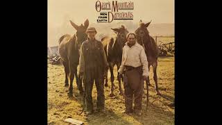 Ozark Mountain Daredevils -  Fly Away Home