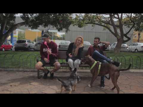 HIGHKILI - PUÑALITO PLATA  (directed by @leon.arocha)