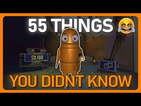 55 Things You Didn't Know about REPO