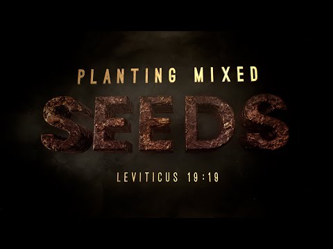 Planting Mixed Seeds (Leviticus 19:19) - 119 Ministries thumbnail