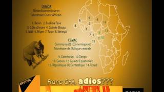 Franc CFA, ADIOS???